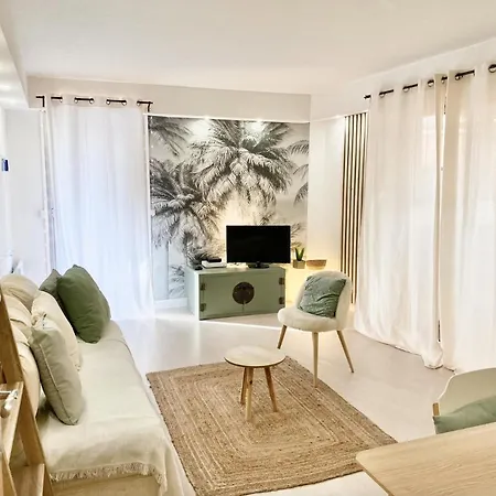 Jardins De Saint-louis, Grand 2 Pieces 750m Palais Des Festivals Parking Possible Cannes