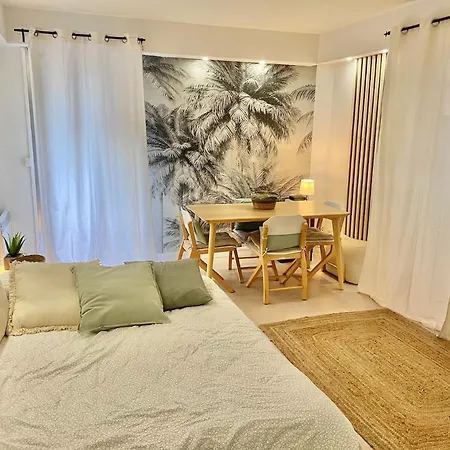 Jardins De Saint-louis, Grand 2 Pieces 750m Palais Des Festivals Parking Possible